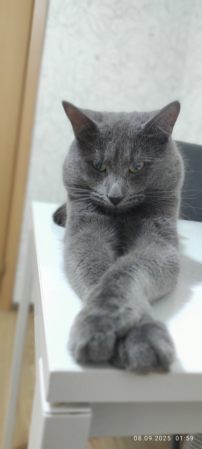 ����� �� ���� �������� �� 0 �� 10�