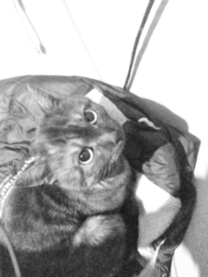 � ��� ���