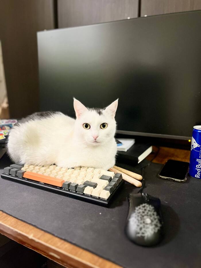 И фиг ли мы не работаем? Кто на корм зарабатывает, м?