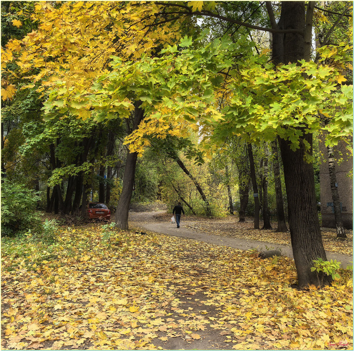 ����� Eliza1618 � ������� ���� 2025 ����