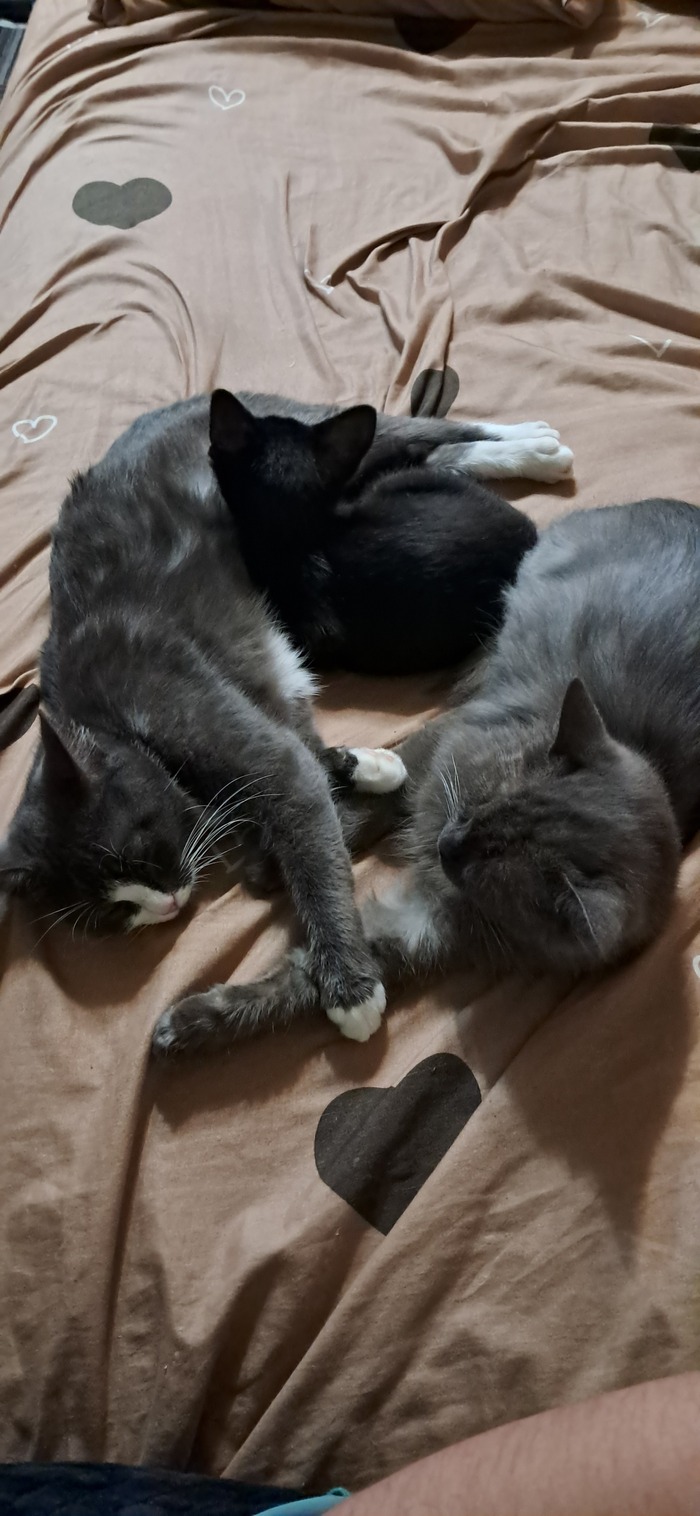 Первое, второе и третье поколения)