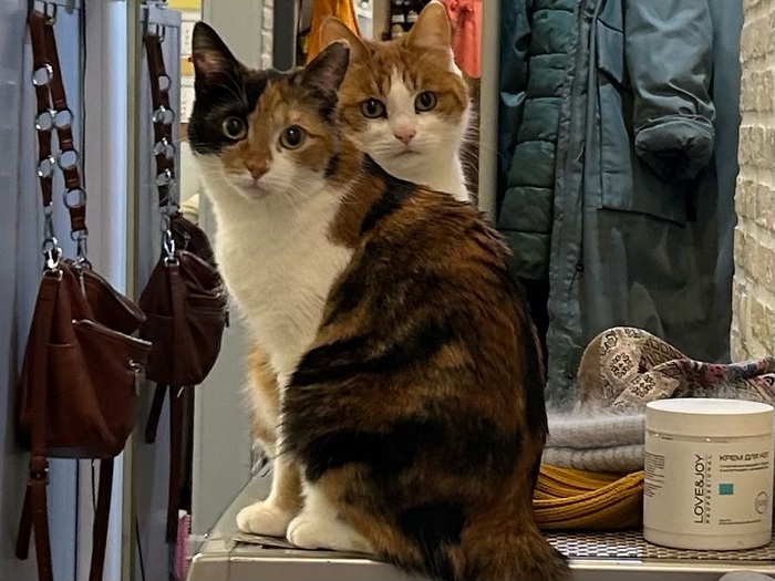 ����� Grandwest � ���� ������ ���������� ����