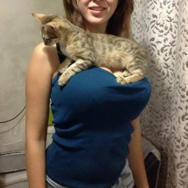 Ответ на пост «Приемлемо»