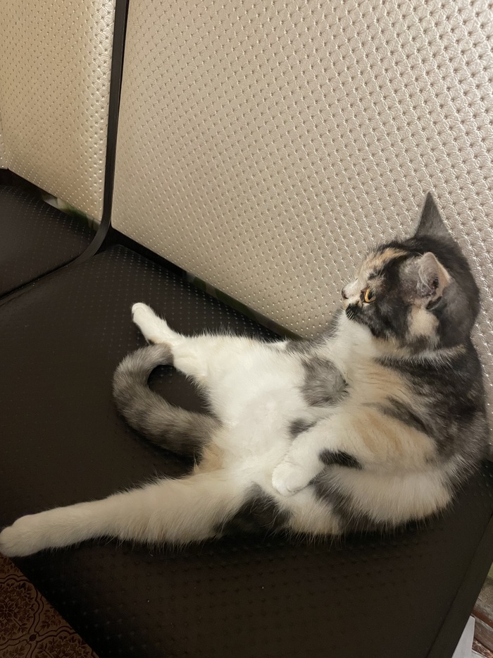 ����� ������� ���������)))