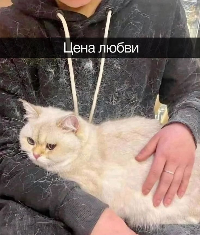 Цена