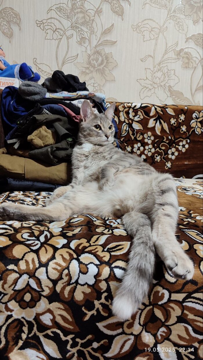 ��� �����������