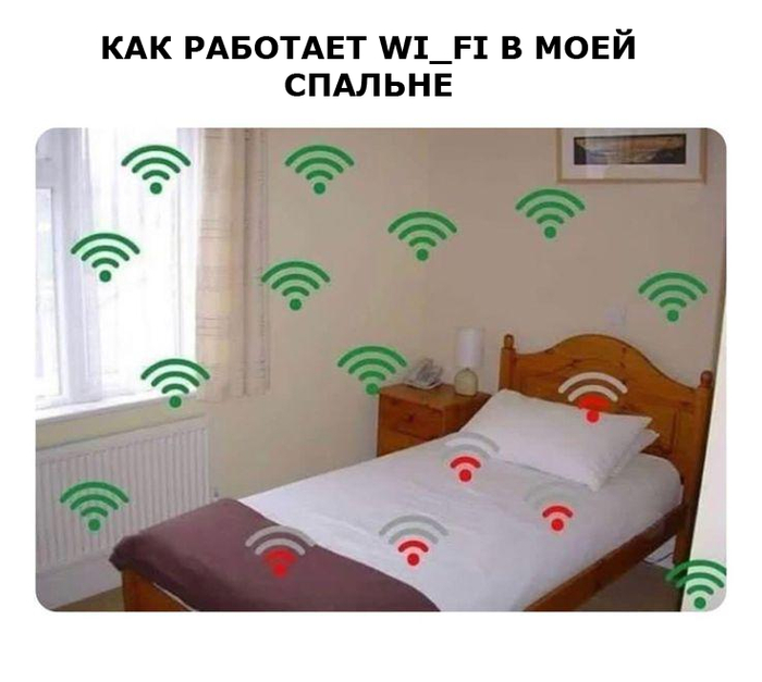 И не только в моей