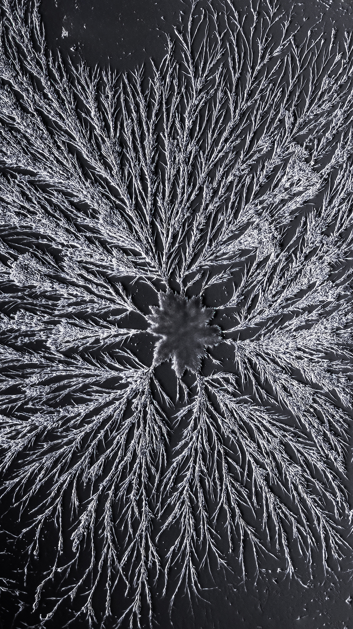 Там где "елочки" "листочки" и "веточки" - это раствор пищевой соды.