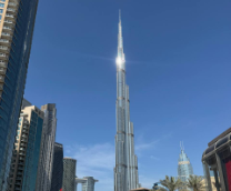 ��������������������� ����