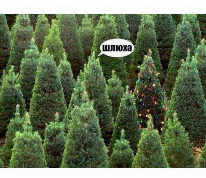 �� ������, ���������� !