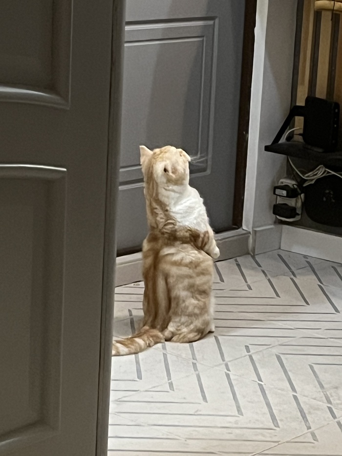 ������! �������� �� ������!))