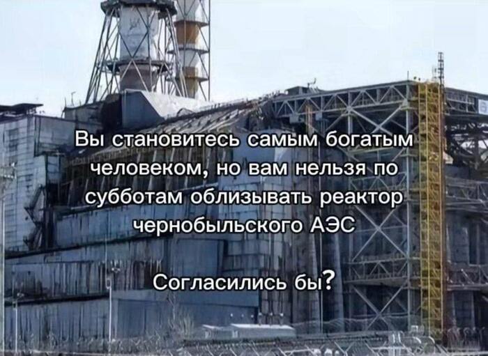 ��������????