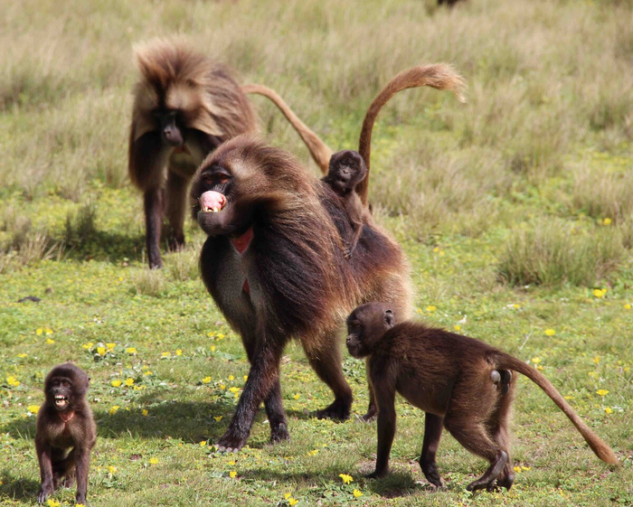 Будь у меня такой батя, я бы тоже не хотела бы с ним много времени проводить.