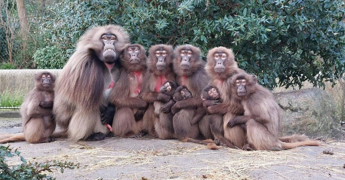 Семейная фотография.