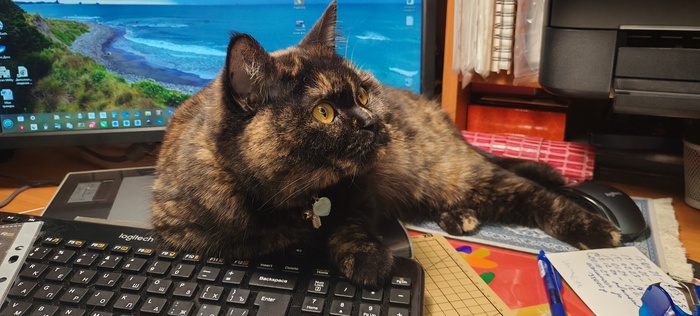 ������� ��������� �����