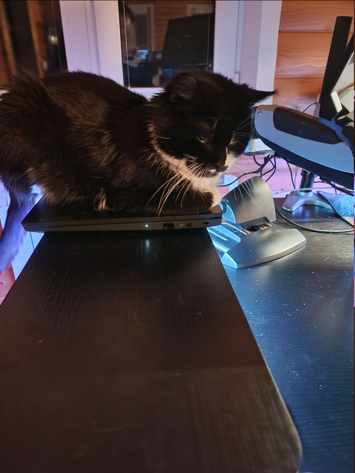 ����� ������� ������. ��� ��� ������ ������...