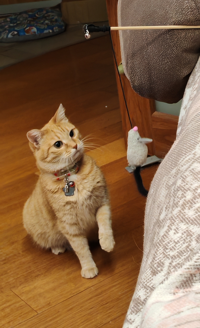 ������� ����� ����