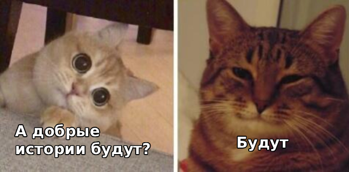 5 ������� ��������, ����� ������� ����� �� ����