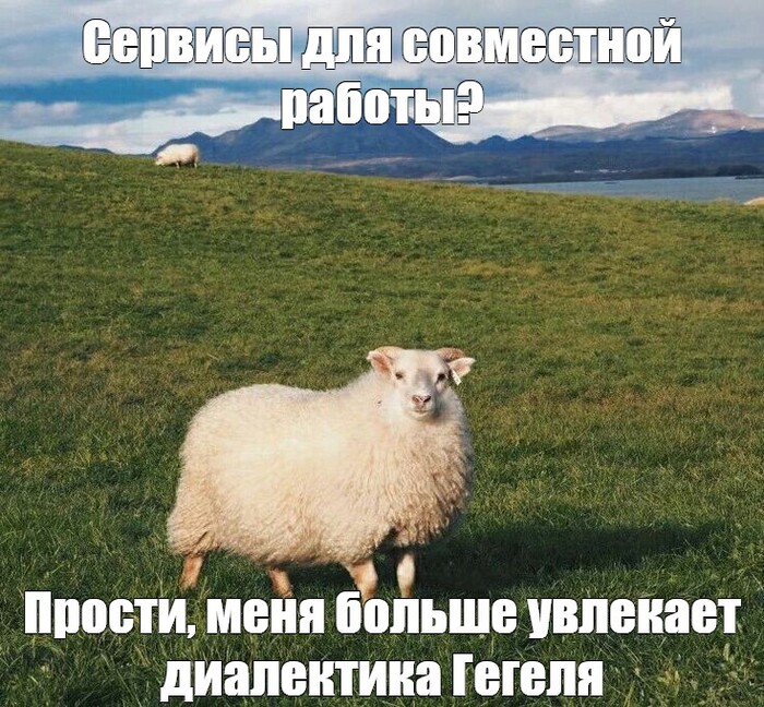 Топ сервисов для совместной работы: какие приложения выбрать для командной работы и управления проектом