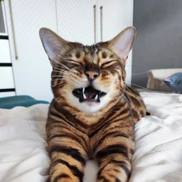 Quandi