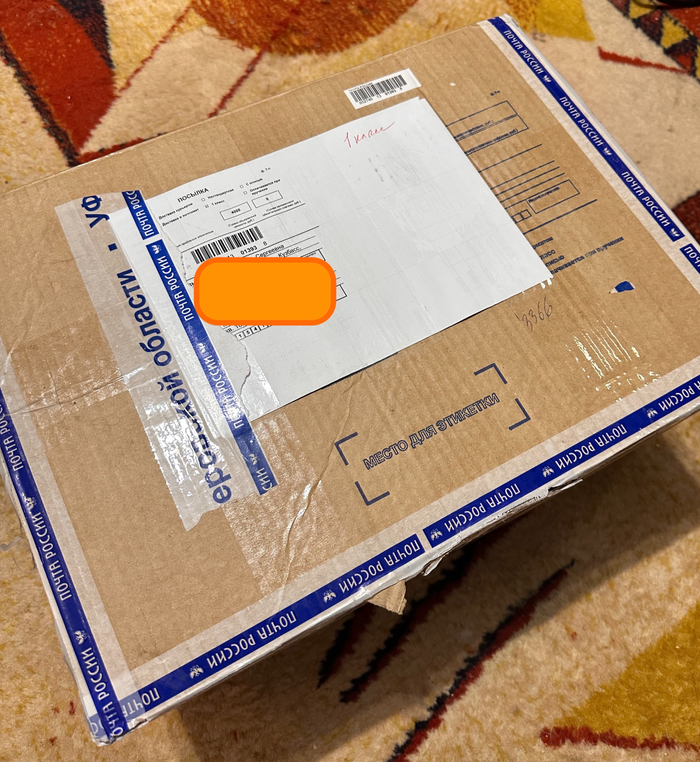 ��� 2025/2026 ������-������