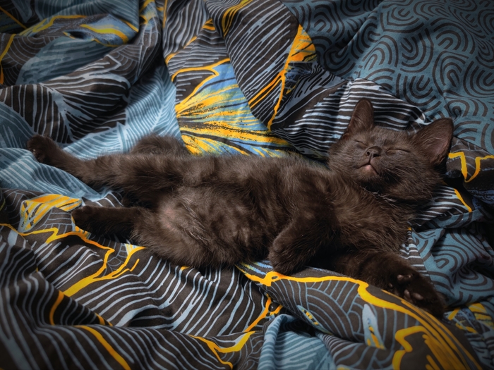 ��� ������ ���������� ����