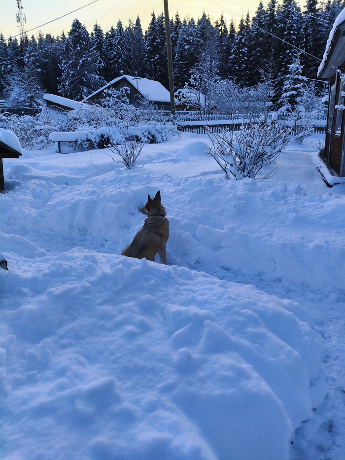 Мое лучшее фото в этом году