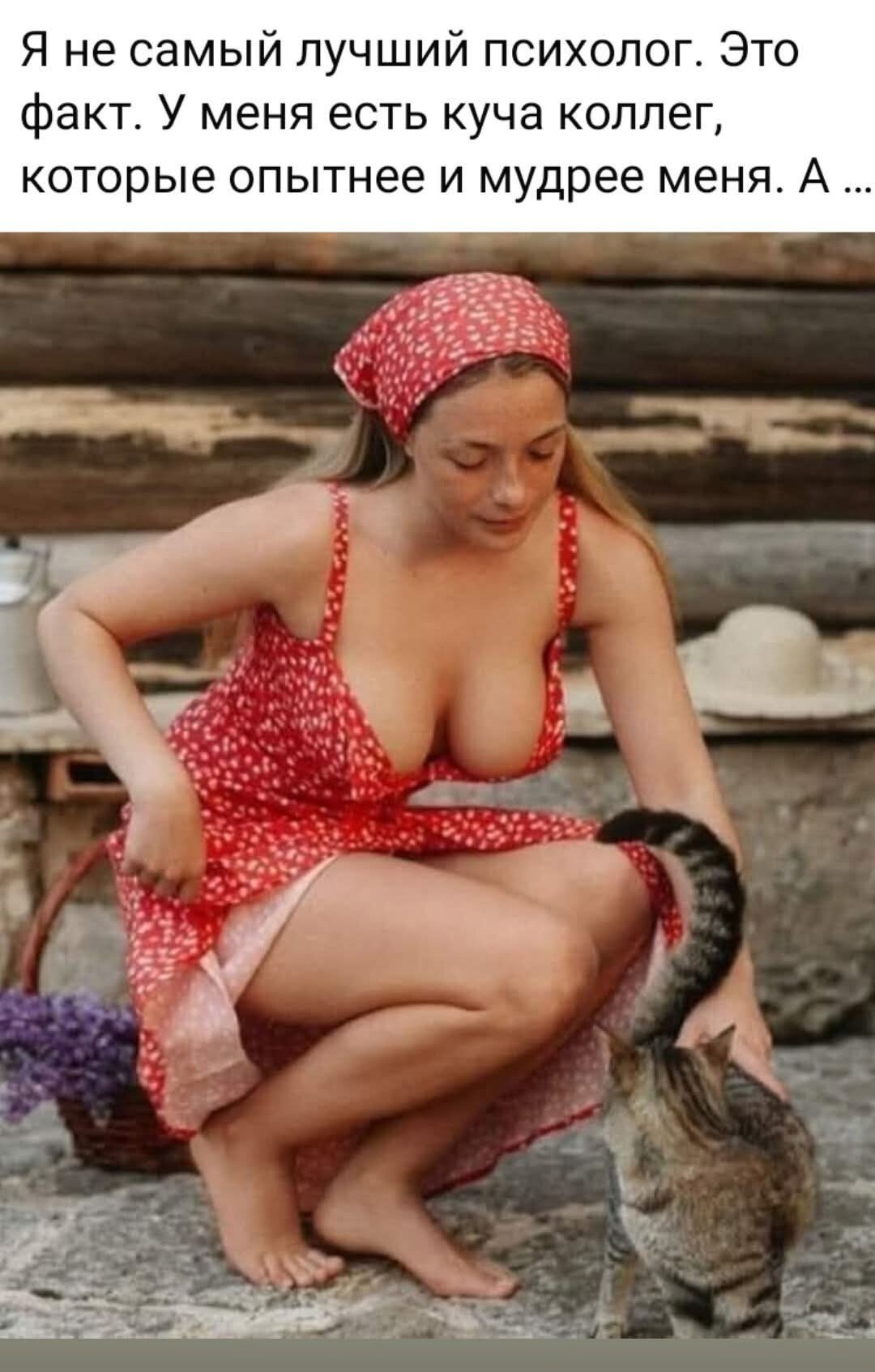 Это контент нейросетей или настоящее? - Контент нейросетей, Вопрос, Спроси Пикабу, Кот