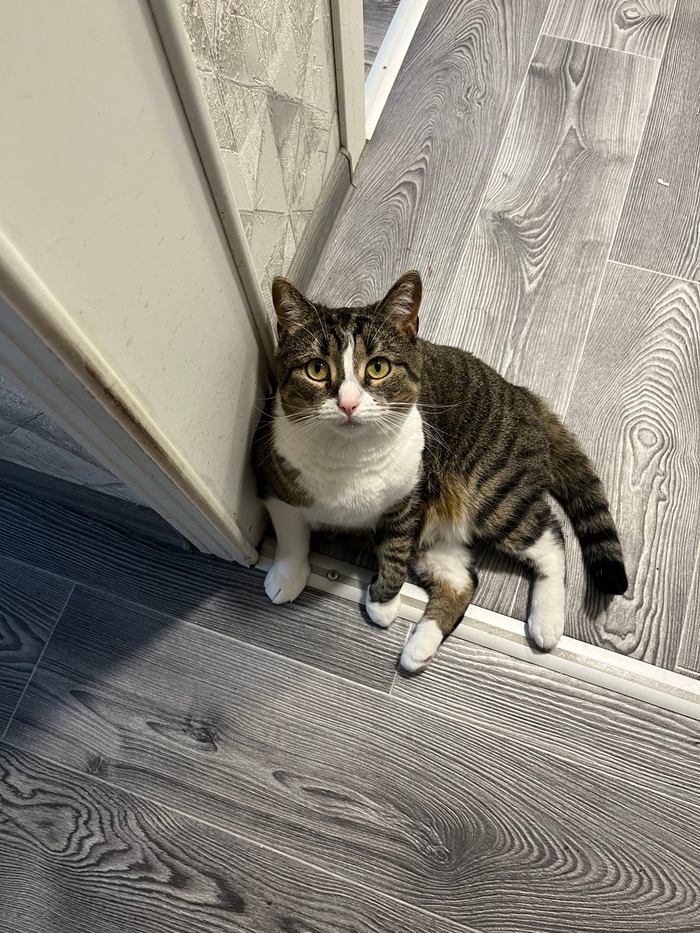 Я извиняюсь