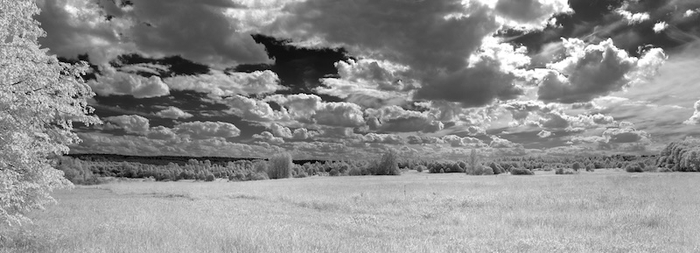 ����� ����������� �����, ������������ ���� ������ ��������