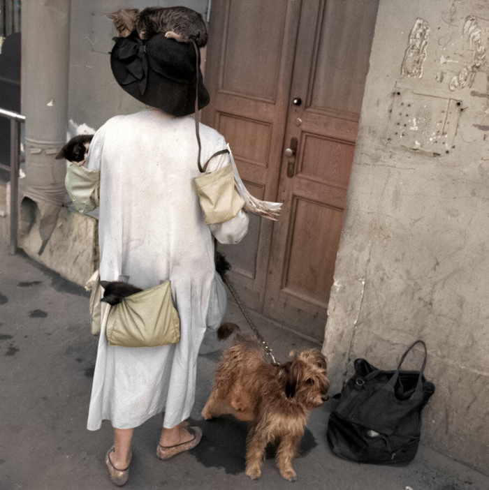 Фотограф: Мария Снигиревская