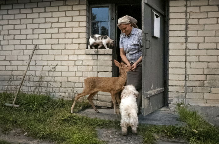 Фотограф: Всеволод Тарасевич