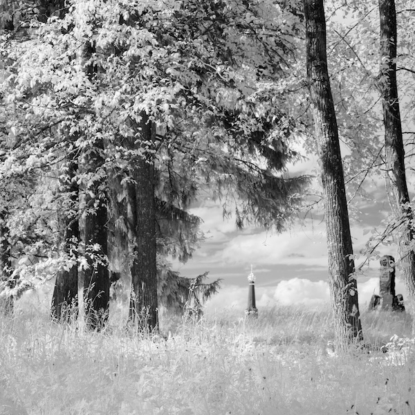 ����� ����������� �����, ������������ ���� ������ ��������