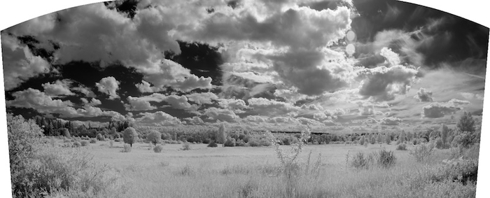 ����� ����������� �����, ������������ ���� ������ ��������