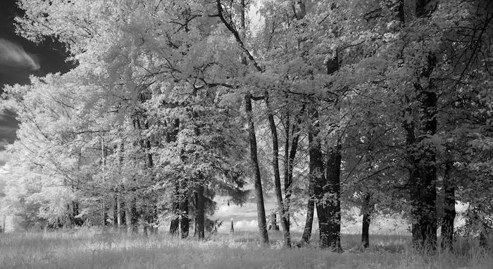 ����� ����������� �����, ������������ ���� ������ ��������