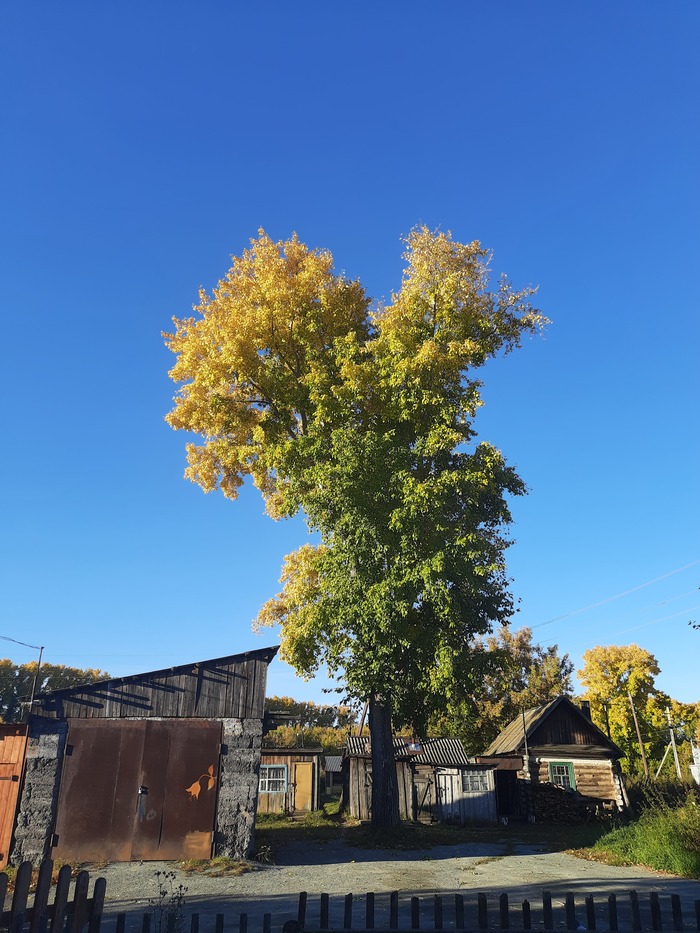 Лучшее фото