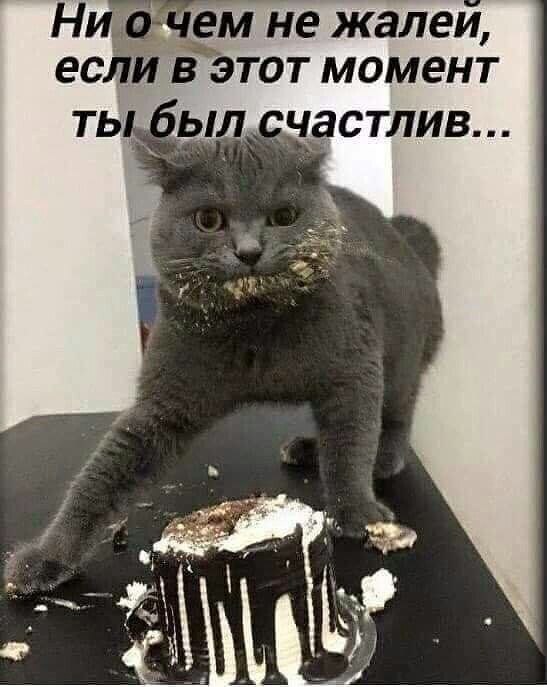 ����� ������� �������