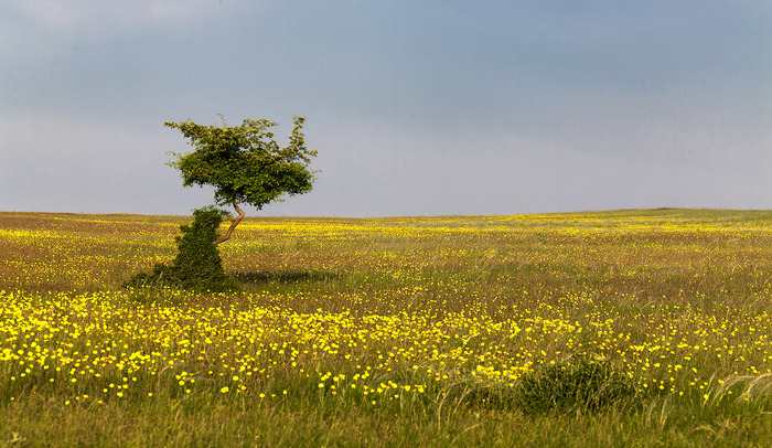 ������ � �����