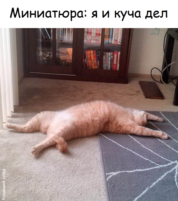 � � ���� ���