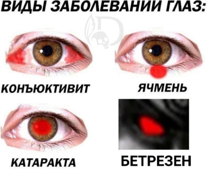 ����� � �� ����������: <!--noindex--><a href="https://pikabu.ru/story/tyi_uznaesh_ikh_iz_tyisyachi_13508885?u=https%3A%2F%2Ft.me%2FSovetnik_Hrenov&t=https%3A%2F%2Ft.me%2FSovetnik_Hrenov&h=4371235e1320c07d0464b487820e29e9ad37717e" title="https://t.me/Sovetnik_Hrenov" target="_blank" rel="nofollow noopener">https://t.me/Sovetnik_Hrenov</a><!--/noindex-->