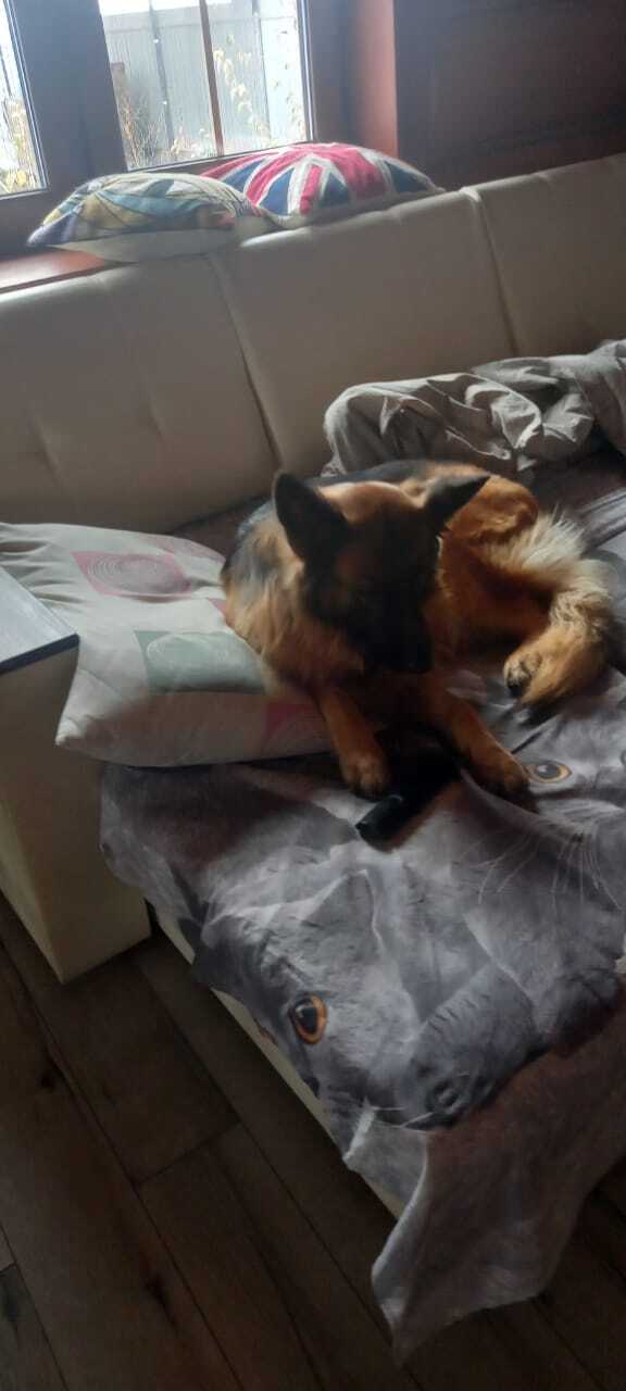 � ��� �����. � ���� ������ ��� ������, �� ����� ������������ �������� ����� ����� ����...