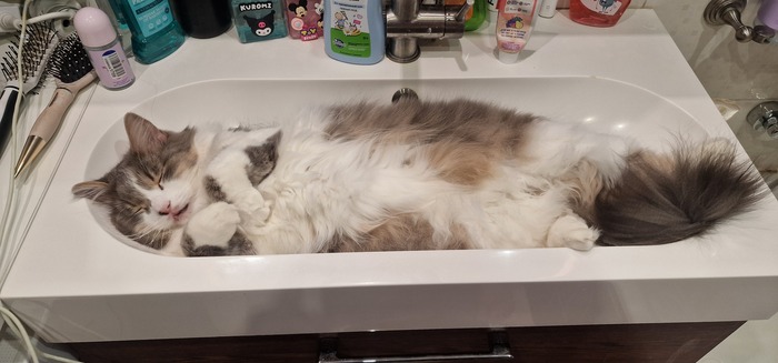 ����� �� ���� ���� ������ ���������� ����