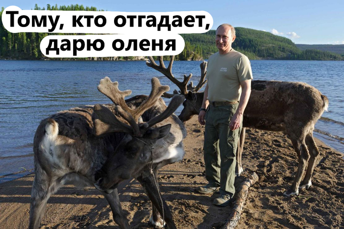 ��� ���������� ����� � ��������� (��� �������)