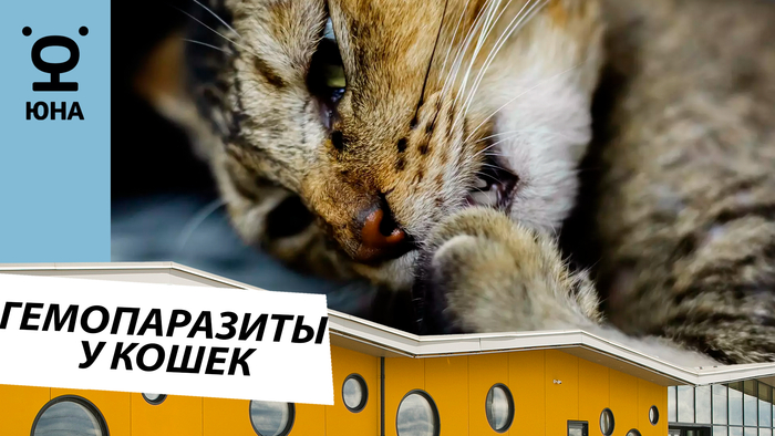 �� � ��������������� � �����