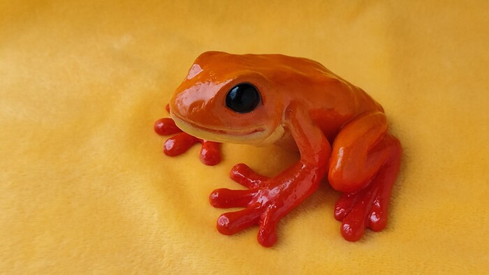 ��� ������� - ������������ ���������)