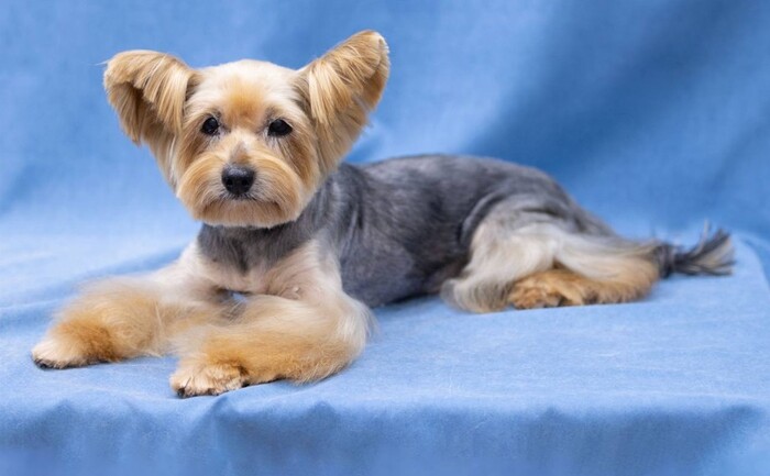 ����� �������� ������� ��� ������� ������� ���������� #�����_��������