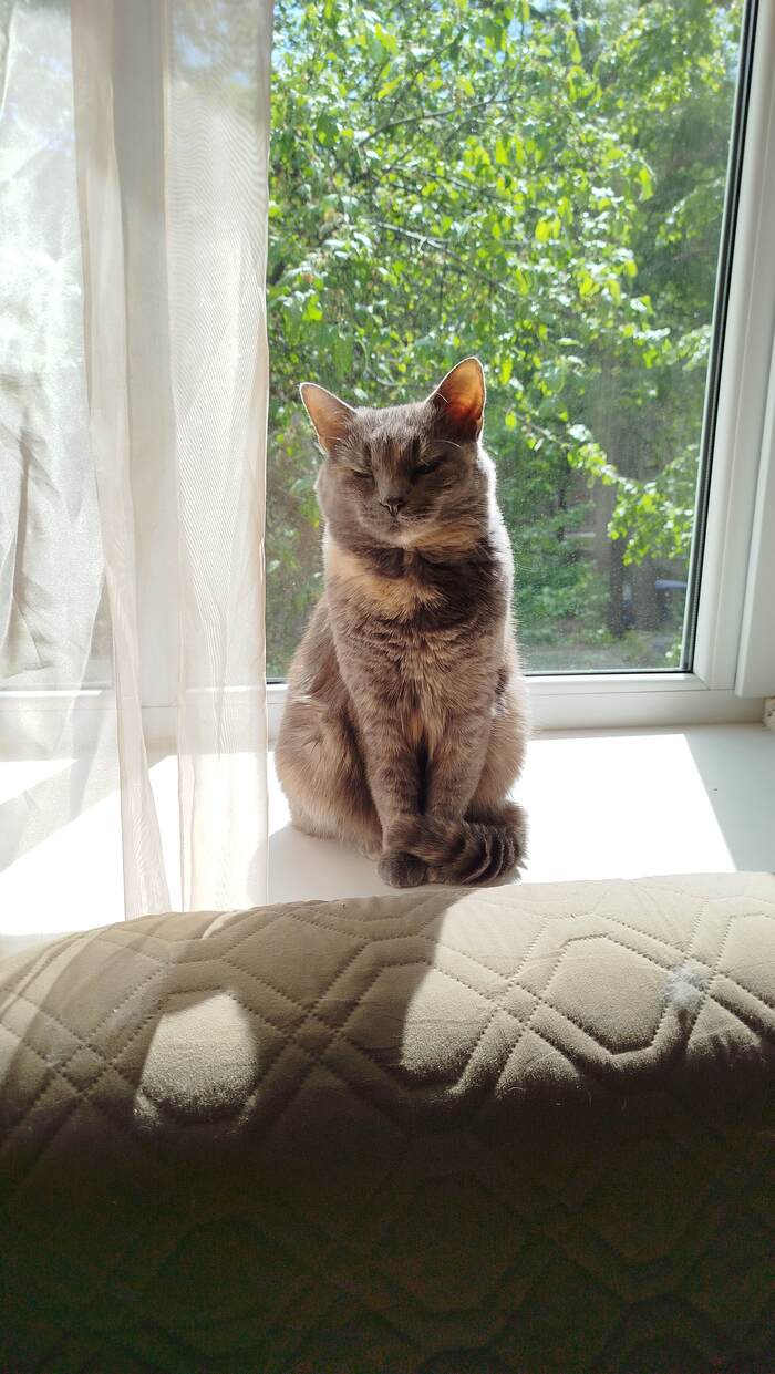 ����� �� ���� ���� ������ ���������� ����