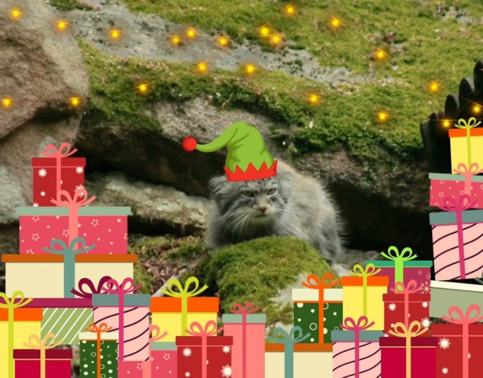 Новогоднее настроение