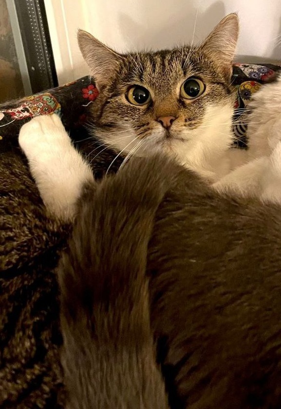 ���. ����, ������� ������ ��� ����, �� ������ �� �������. ������� ���������, �� ���� � ������)