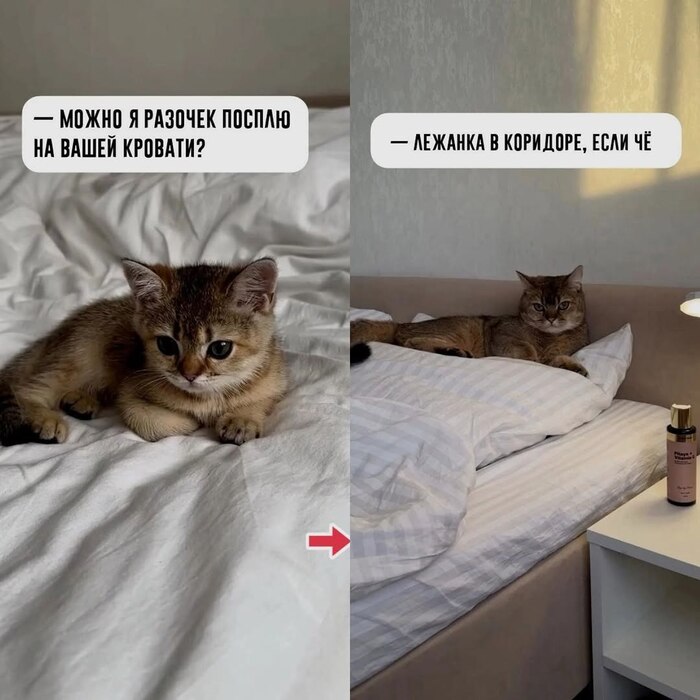 Люди наглые какие))